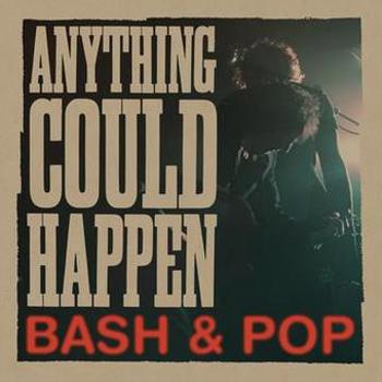 Vinyl Anything Could Happen Book