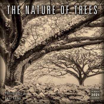 Calendar 2021 the Nature of Trees 16-Month Wall Calendar Book