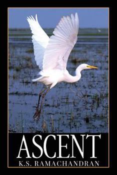 Paperback Ascent Book