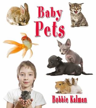 Paperback Baby Pets Book