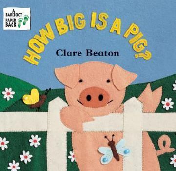 Paperback How Big Is a Pig? Book