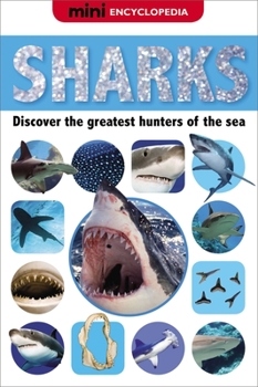 Hardcover Sharks Book