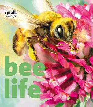 Hardcover Bee Life Book