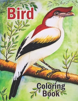 Paperback Bird Coloring Book: Printable World of Birds and Nature Coloring Book for Adults Relaxation and Meditation - Keep Calm and Color Exotic Bi Book