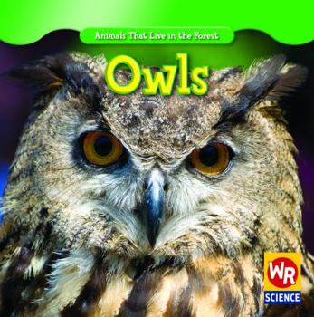 Owls - Book  of the Animals That Live in the Forest