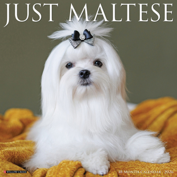Calendar Maltese 2026 Wall Calendar Book
