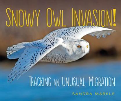 Snowy Owl Invasion! - Book  of the Sandra Markle's Science Discoveries