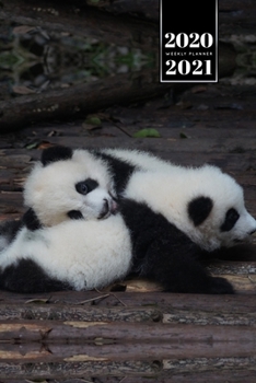 Panda Bear Week Planner Weekly Organizer Calendar 2020 / 2021 - Sweet Babies: Cute Wildlife Animal Bullet Journal Notebook Diary in 6” x 9” Inch Pocket Size