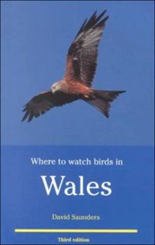 Where To Watch Birds In Wales