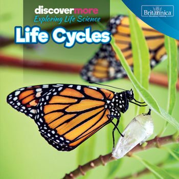 Life Cycles (Discover More: Exploring Life Science)