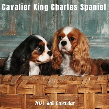 Paperback Cavalier King Charles Spaniel 2021 Wall Calendar: Cavalier King Charles Spaniel 2021 Calendar, 18 Months. Book