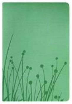 Biblia Tamano Personal-Rvr 1960-Prairie