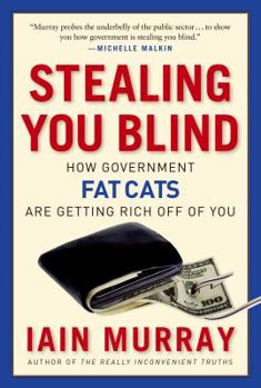 Hardcover Stealing You Blind: How Government Fat Cats Are Getting Rich Off of You Book