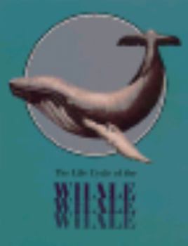 Paperback The Life Cycle of the Whale Book