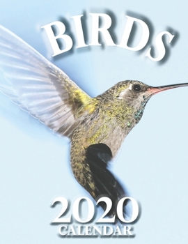 Paperback Birds 2020 Calendar Book