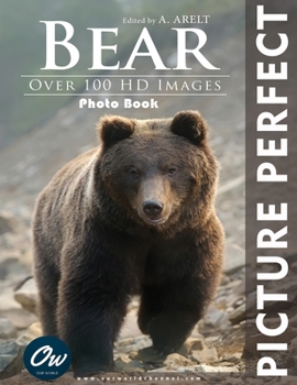 Paperback Bear: Picture Perfect Photo Book: Over 100 HD Images Book