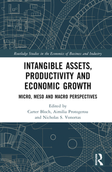 Hardcover Intangible Assets, Productivity and Economic Growth: Micro, Meso and Macro Perspectives Book