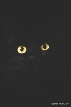 Agenda anual 2020: Agenda anual para 2020, 12 meses, agenda de 52 semanas  con tareas y metas; formato práctico 6x9; motivo: Katzenaugen (Spanish Edition)