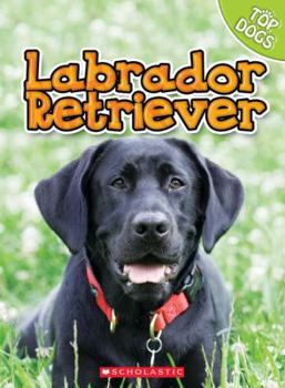 Library Binding Labrador Retriever Book
