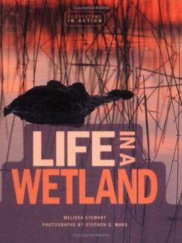 Hardcover Life in a Wetland Book