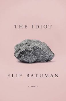 Hardcover The Idiot Book