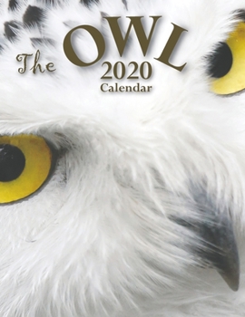 Paperback The Owl 2020 Calendar Book