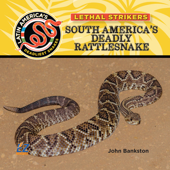 South Americas Deadly Rattlesnake