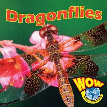 Library Binding Dragonflies Book