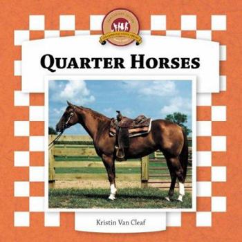 Library Binding Quarter Horses Book