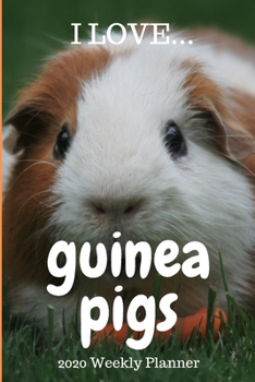 Paperback 2020 I Love Guinea Pigs Weekly Planner: ONE WEEK PER PAGE - guinea pigs weekly planner, 2020 weekly planner, ideal for guinea pig lovers, guinea pig g Book