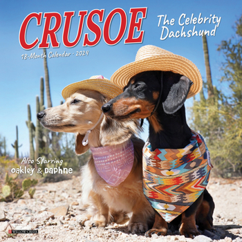 Calendar Crusoe the Celebrity Dachshund 2024 7 X 7 Mini Wall Calendar Book