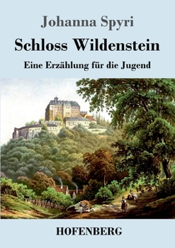 Paperback Schloss Wildenstein: Eine Erzählung für die Jugend [German] Book