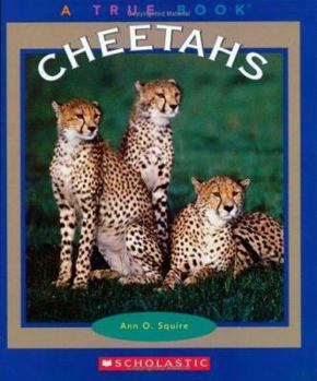 Paperback Cheetahs Book