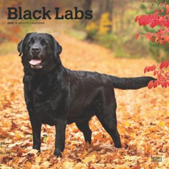 Calendar Black Labrador Retrievers 2025 12 X 24 Inch Monthly Square Wall Calendar Plastic-Free Book
