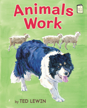 Paperback Animals Work Book