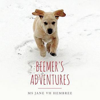 Paperback Beemer's Adventures Book