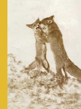 Hardcover Another Happy Day Book