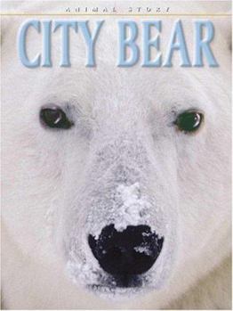 Paperback City Bear Book