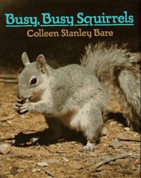 Hardcover Busy, Busy Squirrels Book