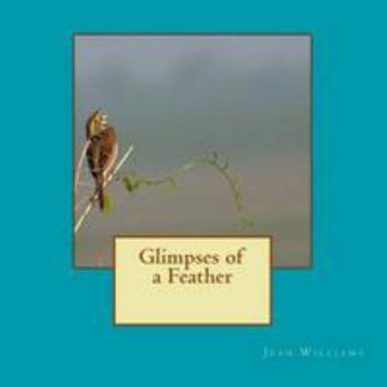 Paperback Glimpses of a Feather Book