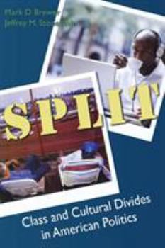 Paperback Split: Class and Cultural Divides in American Politics Book