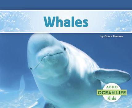 Ballenas / Whales - Book  of the Abdo Kids: Ocean Life