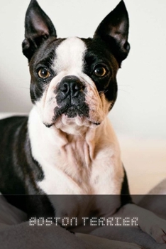 Paperback Boston Terrier: Complete breed guide Book