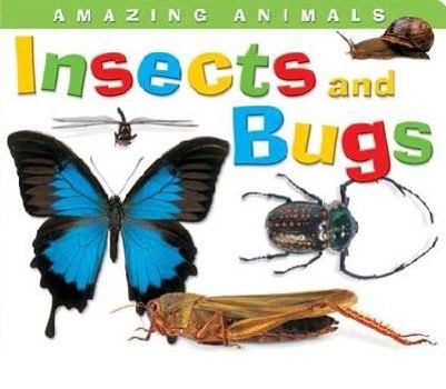 Board book Insects & Bugs (Amazing Animals) Book