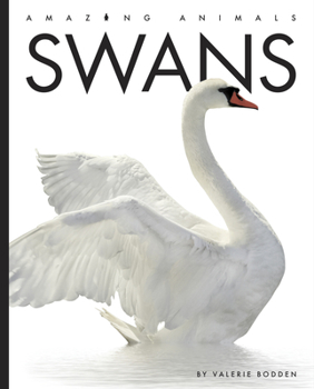 Swans - Book  of the Amazing Animals