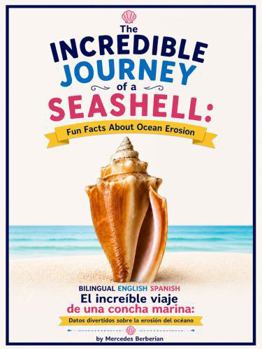 The Incredible Journey of a Seashell: Fun Facts about Ocean Erosion