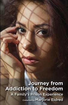 Paperback Journey from Addiction to Freedom Book