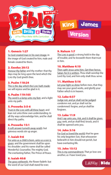 Cards Bible Skills, Drills, & Thrills: Red Cycle - KJV Verse Cards Book