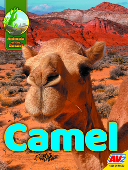Library Binding Camel Book