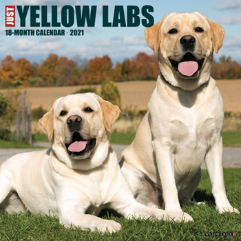 Calendar Just Yellow Labs 2021 Wall Calendar (Dog Breed Calendar) Book